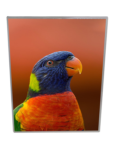 Light Boxes -Slimline Light Box A4