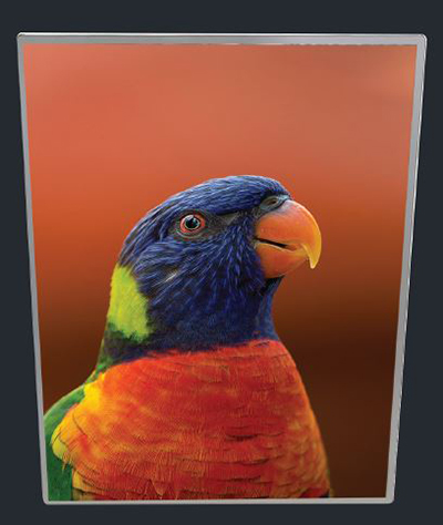 Light Boxes -Slimline Light Box A3